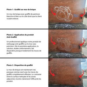 Décapant de graffiti Bio : surfaces poreuses non peinte 1 litre